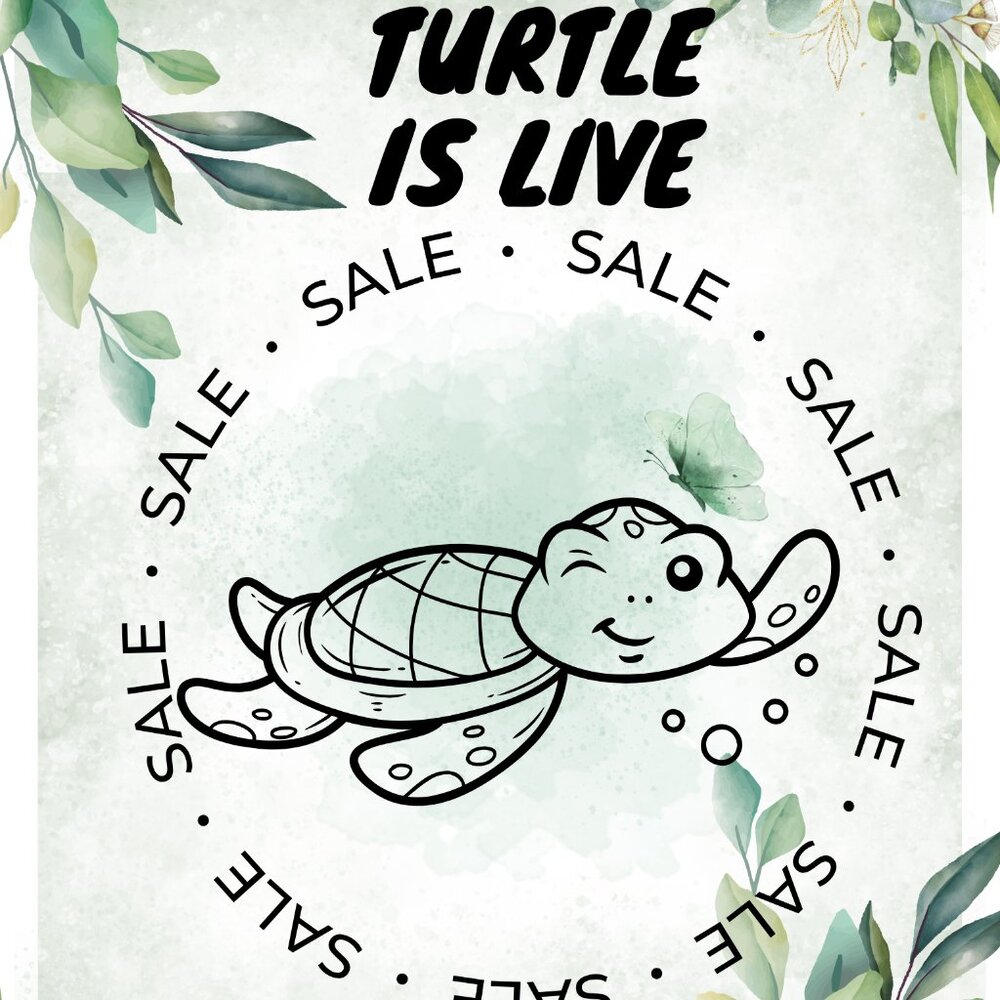 🐢🐢 Turtle is LIVE 🐢🐢🐢🐢🐢Like this Flier for live shows!!!
